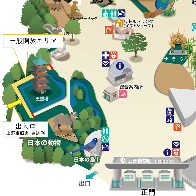 五重塔一般開放エリア